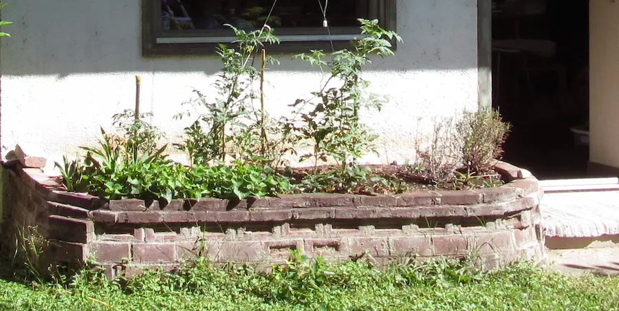 Design dísztégla magaságyás paradicsompalántákkal és fűszernövényekkel Piliscsabán – precíz munka